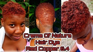 HOW TO: DYE YOUR 4A TWA USING THE CREME OF NATURE HAIR DYE|RED COPPER (6.4)|NO BLEACHING NEEDED