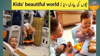 @subosha | Kids videos | Kids' beautiful world | Cute babies | Vlog