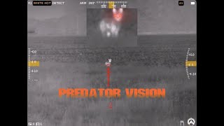 Predator Vision: Armasight Contractor 640 Thermal Scope Review