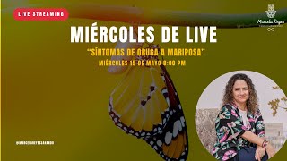 de oruga a mariposa