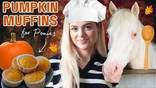 Pumpkin Muffins for Ponies! This Esme