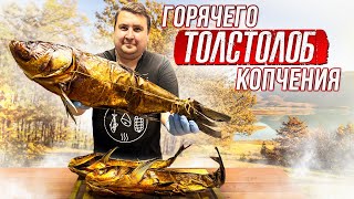 Толстолоб горячего копчения. Как правильно засолить рыбу?!