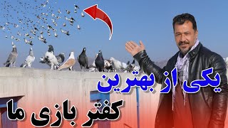 یکی از بهترین کفتر بازی امروز ما/عبدالباقی سلطانی/027Afghan Shawqi