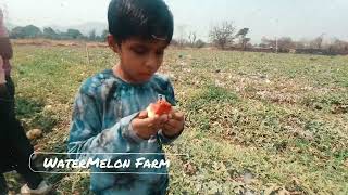 Be a Farmer for a Day - Vyom Kesari