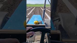 Культивация 🚜🌱☀️