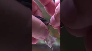 Root Beer Nymph? #flytying #bassfishing #nymph #shorts #timelapse