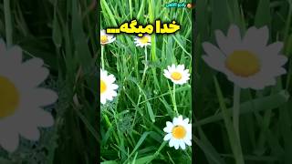 به خدا اعتماد کن /خدایا شکرت/رادیو آگاهی #shorts