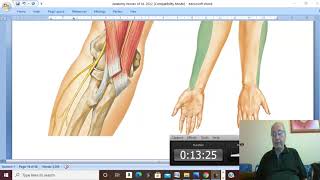 Musculo-skeletal Module in Arabic 29 ( Axillary and musculocutaneous nerves ) , by Dr. Wahdan 2022