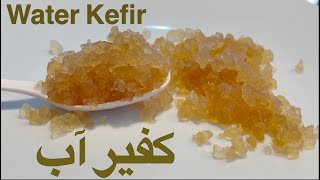 کفیر آب و دو نوشابه پروبایوتیک که از کفیر ساخته میشود How to make water kefir