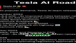 #19 Tesla Stock Surges 60%  Unpacking the AI Roadmap