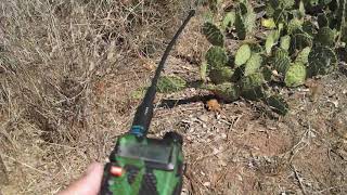 PARC Palomar Amateur Radio Club Transmitter Hunt