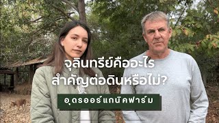 จุลินทรีย์คืออะไร? มีความสำคัญต่อดินอย่างไร? | Udon Organic Farm