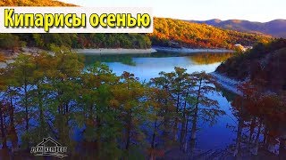 Кипарисовое озеро в осенней красе. #ДомКомфорт