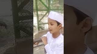 Yeh konsa Janwar hai? |  یہ کونسا جانور ہے؟ I #zoo #attari #shorts #viral#कार्टून#कॉमेडी I #कॉमेडी