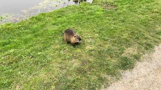 Das Nutria – Zuhause am Ludwigslust