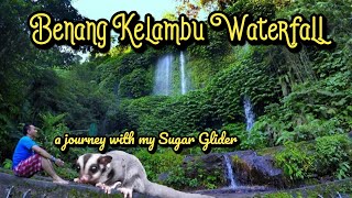 Air Terjun Benang Kelambu Lombok Tengah - a journey with my Sugar Glider