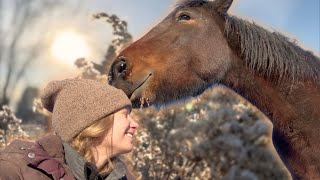 A Chilly November Morning with the Horses