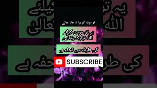 یہ تو مومن کیلئے اللہ تبارک وتعالیٰ﻿ | Peer Ajmal Raza Qadri #shorts #shortfeed #viral