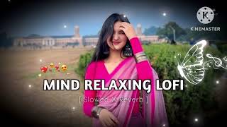 💞Mind Relax Lofi Mashup || Slowed & Reverb|I Love Mashup 2024 || Romantic Hindi LoveMashup 2024