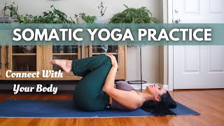 Somatic Yoga For Beginners (Really All Levels!) - Somatic yoga series - 20 minute practice