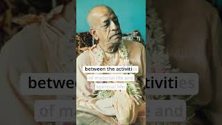 Devotee’s Secret: The Power of Changing Consciousness #prabhupada #srilaprabhupada #krishna #iskcon