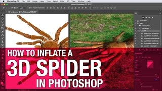 How to turn a photograph into a 3D spider