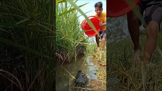 amazing fishing video 🤣 #shorts​ #fish​ #funny​ #comedy#fishing #amazingfisher