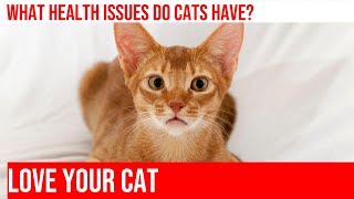 Common Health Issues in Cats: Causes, Symptoms & Treatments