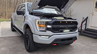 Revving a 2023 Roush F-150 Coyote exhaust note & cold air intake sound.