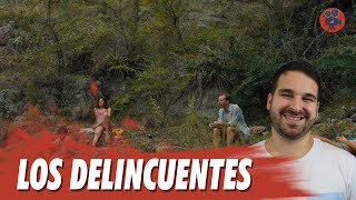 OS DELINQUENTES | MUBI | Crítica do Filme da Argentina Para o Oscar 2024