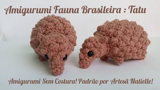 Tatu Amigurumi Fauna Brasileira SEM COSTURA