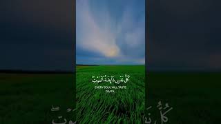 ‏أُترك الحياة جانبًا واستمع للقرآن || عبد الرحمن مسعد 🌧️🌿.