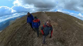 Fairfield Horseshoe