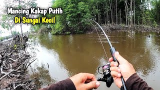 MANCING KAKAP PUTIH DI SUNGAI KECIL || UMPAN UDANG HIDUP