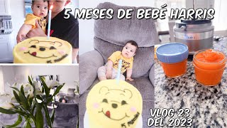 MI VIDA EN USA 🇺🇸 | Benjamin cumplio 5 meses , organizando espacios para bebe Harris