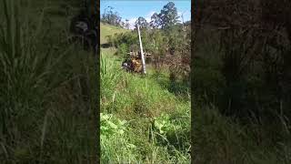 trator Valtra carregando Poste no GARFO #shorts #short #agro #roça #rural