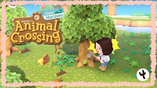 Animal Crossing : New Horizons - Episode 4 (Quarantine Day 2)