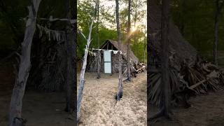 A Beautiful #hut middle of the #forest #tamilnadu #shortsindia #naturephotography