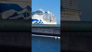 Saida CRUZEIRO PORTO DO FUNCHAL MADEIRA PORTUGAL 2024