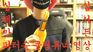 Peterson StroboClip HD 튜너를 사봤습니다