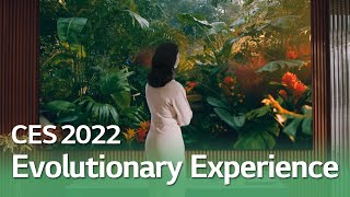 [Evolutionary Experience] 진화된 OLED의 놀라운 화질과 압도적인 몰입감을 경험해보세요.