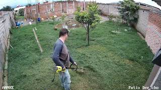 Cortando el Zacate del Patio con una Desbrozadora Eléctrica Ryobi de 10Amp - Septiembre 2024