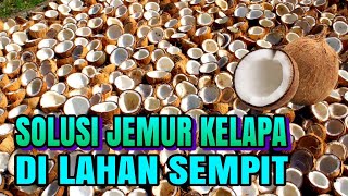 SOLUSI JEMUR KELAPA DI LAHAN SEMPIT