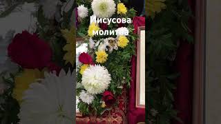 Господи, Иисусе Христе, помилуй мя! Слава Богу за всё!.. Иисусова молитва 💖☀️🕊