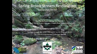 Spring Brook Restoration Project