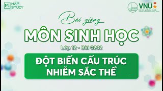 [Sinh Học HSA] - LỚP 12 - BÀI 0202 - ĐỘT BIẾN CẤU TRÚC NHIỄM SẮC THỂ | Mapstudy