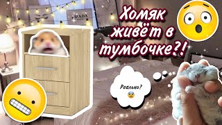 Что Будет Если Держать Хомяка в Тумбочке?😳{Юми в шоке😨} яХрумка