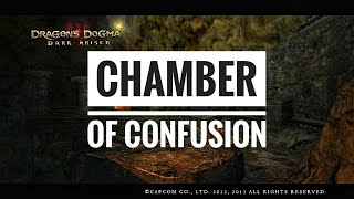 Dragon's Dogma: Chamber of Confusion