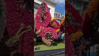 Flower Festival  #shortsvideo #shorts #flowers #festival #travel #netherlands #europe #european