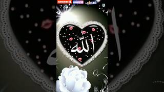 [4K] WHO ✨ LOVE THIS ALLAH 🕋 MASHALLAH 🥰 #SUBSCRIBE #VIRALSHORT